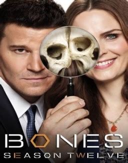 bones temporada 12 ver capitulos